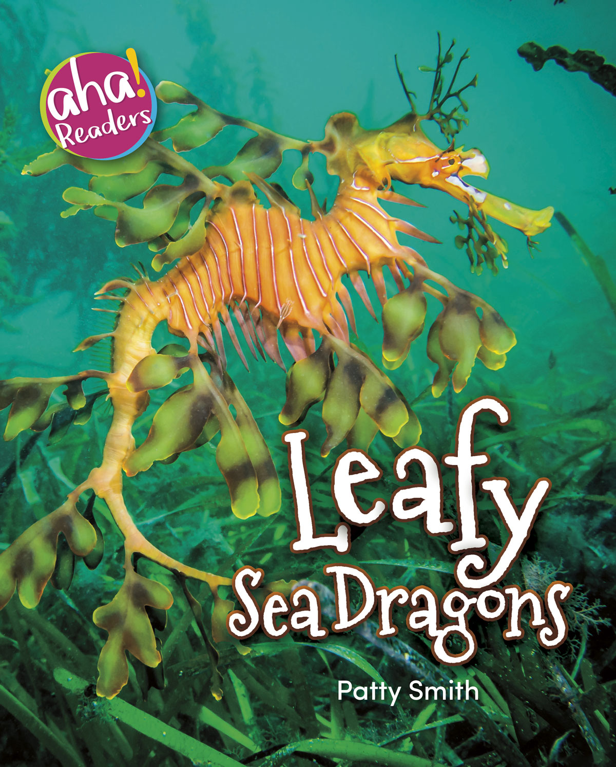 Leafy Sea Dragons