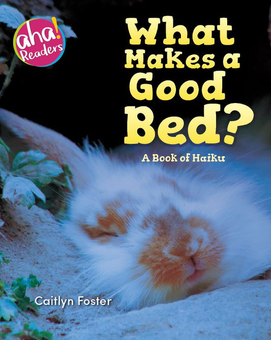 What Makes a Good Bed? : A Book of Haiku